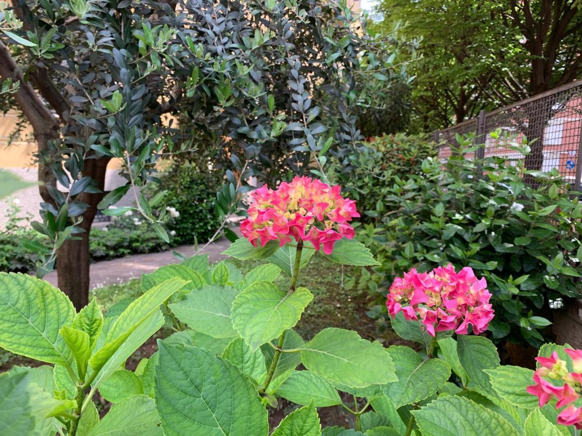 Casa Beraldini Lejlighed Verona Eksteriør billede