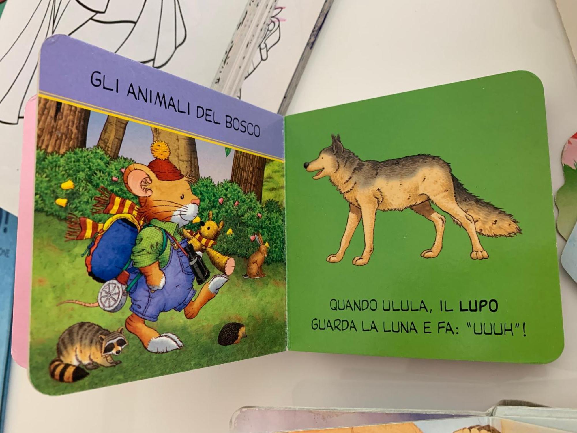 Casa Beraldini Lejlighed Verona Eksteriør billede